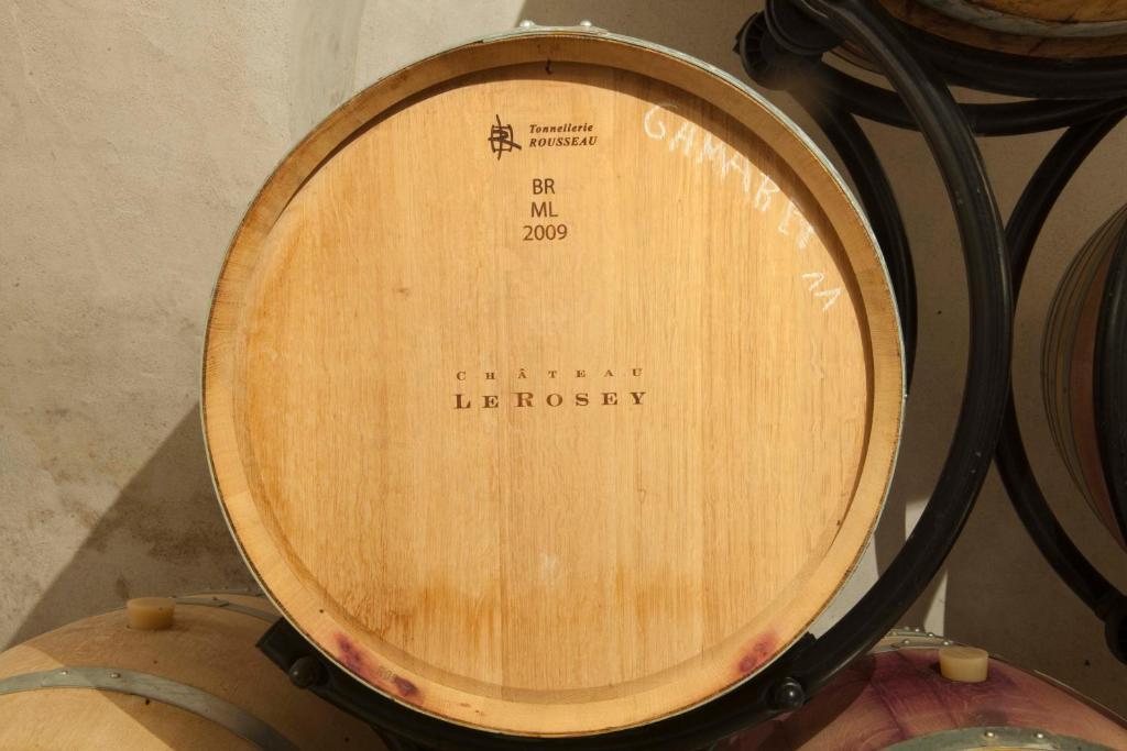 Chateau Le Rosey Hotel Nyon Kültér fotó